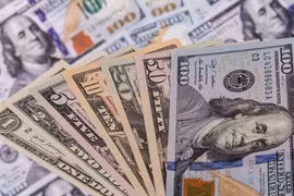 The daily reference exchange rate is set at 25,141 VND/USD on December 16 (Photo: VNA)