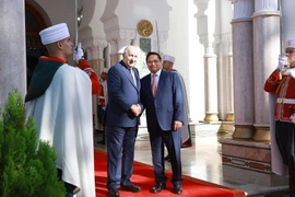 Prime Minister Pham Minh Chinh (right) meets with Algerian President Abdelmadjid Tebboune in Algiers on November 19 afternoon. (Photo: VNA)