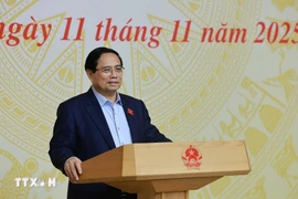 PM Pham Minh Chinh speaks at the meeting (Photo: VNA)