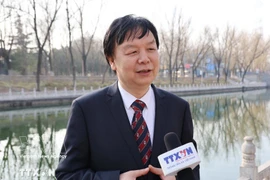 Professor Mi Liang, Director of the Centre for Southeast Asian Studies at Beijing Foreign Studies University of China. (Photo: VNA)