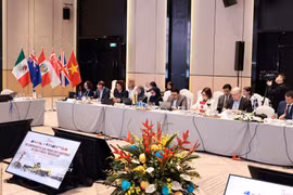 Delegates at the meeting (Photo: VNA)