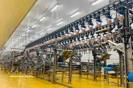Inside a modern poultry processing factory (Photo: VNA)