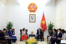 Deputy Prime Minister Tran Hong Ha meets with UNDP Resident Representative Ramla Khalidi and WHO Representative in Vietnam Angela Pratt in Hanoi on March 11. (Photo: VNA)