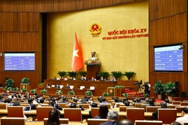 Deputies vote to pass a resolution on several special mechanisms and policies for the Ninh Thuan nuclear power project (Photo: VNA)