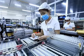At an FDI company in Ho Chi Minh City. (Photo: VNA)