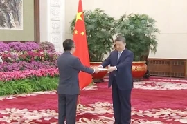 At the credentials presentation ceremony (Photo: VNA)