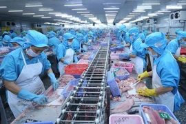 Processing aquatic products for export (Photo: VNA)