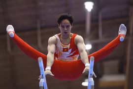 Vietnamese gymnast Dinh Phuong Thanh performs at the 33rd Southeast Asian (SEA) Games in Thailand on December 12. (Photo: htv.com.vn)