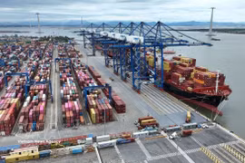 Cargo at Lach Huyen Container Terminal in Hai Phong city (Photo: VNA)