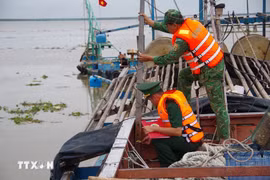Dong Thap border guards inspect a fishing vessel (Photo: VNA)