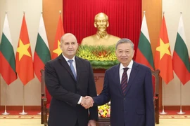 Party General Secretary To Lam (R) receives President of the Republic of Bulgaria Rumen Radev on the occasion of the later's official visit to Vietnam in 2024. (Photo: VNA)