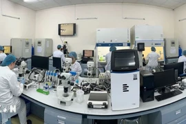 A biotechnology laboratory of the International University at Vietnam National University-Ho Chi Minh City. (Photo: VNA)