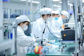 Bumjim Electronics Vina factory, a 100% Korean-owned enterprise, in Quang Ninh province (Photo: VNA)