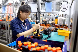 Workers at the Lien Ha Thai Industrial Park in the Thai Binh Economic Zone). (Photo: VNA)