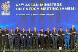 Heads of delegations attend the 43rd ASEAN Ministers on Energy Meeting. (Photo: VNA)