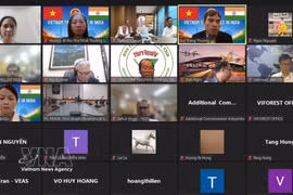 Participants in the webinar held by the Vietnamese Trade Office in India on August 7 (Photo: VNA)