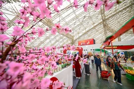 Spring Fair 2026 attracts over 32,000 visitors in two days (Photo: VNA)
