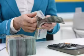 The State Bank of Vietnam sets the daily reference exchange rate for the US dollar at 24,970 VND/USD on June 2. (Photo: VNA) 