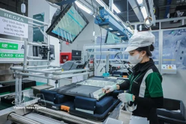 Regza Vietnam Electronics Co., Ltd. (fully invested by Taiwan, China) installs four modern production lines in 2024. (Photo: VNA)