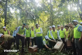 Vietnam is one of the world’s most biodiverse countries, ranking 16th globally. (Photo: VietnamPlus)