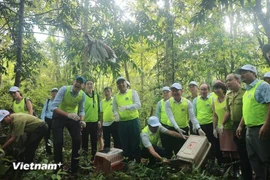 Vietnam is one of the world’s most biodiverse countries, ranking 16th globally. (Photo: VietnamPlus)