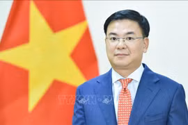 Vietnamese Ambassador to Japan Pham Quang Hieu (Photo: VNA)