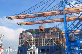 At Gemalink International Port, Phu My town, Ba Ria-Vung Tau province. (Photo: VNA)