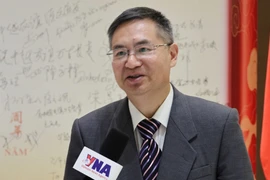 Prof. Dr. Cheng Hanping, Executive Director of the Institute for Regional and National Studies and Director of the Vietnam Studies Centre at Zhejiang University of Technology in China. (Photo: VNA)