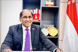 Singaporean Ambassador to Vietnam Jaya Ratnam (Photo: VNA)