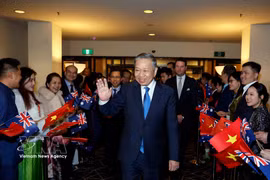 Officials and staff of the Vietnamese Embassy and representatives of the Vietnamese community in Australia welcome Party General Secretary and President To Lam at Canberra Airport on August 10, 2026. (Photo: VNA)