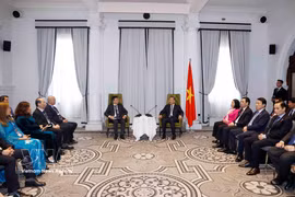 General Secretary of the Communist Party of Vietnam Central Committee and President To Lam (right) receives prominent Vietnamese intellectuals and scientists who are members of the Vietnam-Australia Scholars & Experts Association (VASEA) in Sydney on August 10. (Photo: VNA)