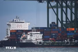 Pasir Panjang cargo port in Singapore. (Photo: VNA)