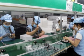 Illustrative photo (Photo: VNA)