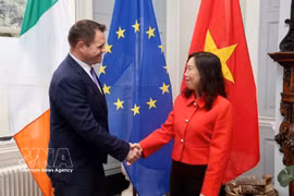 Deputy Foreign Minister Le Thi Thu Hang meets with Irish Minister of State at the Department of Foreign Affairs and Trade Neale Richmond (Photo: VNA)