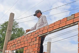 Illustrative image (Photo: VNA)