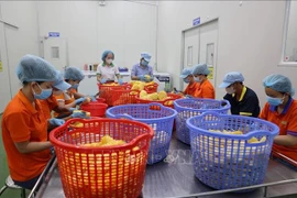 Processing fast consumption items for exports in Ho Chi Minh City. (Photo: VNA)
