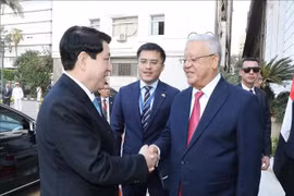 Speaker of the Egyptian House of Representatives Hanafy El Gebaly (R) welcomes State President Luong Cuong in Cairo on August 6. (Photo: VNA)