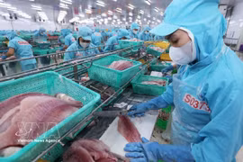Workers process pangasius fillet for export at Sao Mai Group's factory in An Giang province (Photo: VNA)