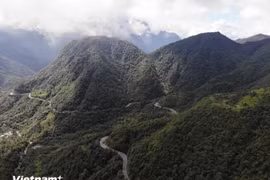 Vietnam and the EU have agreed to work together toward sustainable forest development. (Photo: VietnamPlus)