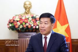Vietnamese Deputy Minister of Foreign Affairs Nguyen Manh Cuong. (Photo: VNA)