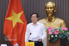 Deputy Prime Minister Ho Quoc Dung speaks at the meeting to appraise revisions to the National Land Use Planning for 2021–2030 with a vision to 2050. (Photo: VNA)