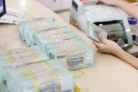 The reference exchange rate going up following New Year holiday (Photo: VNA)