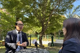 Dr Nguyen Hong Son, Chairman of the Union of Vietnamese Associations in Japan grants an interview to the Vietnam News Agency's reporter in Tokyo (Photo: VNA)