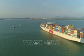 Cai Mep – Thi Vai deep-water seaport system (Photo: VNA)