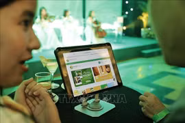 Illustrative image (Photo: VNA)