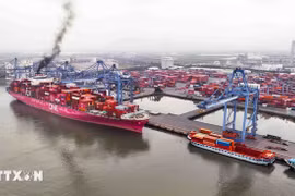 A view of Cai Mep -Thi Vai International Port (Photo: VNA)