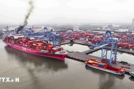 A view of Cai Mep -Thi Vai International Port (Photo: VNA)
