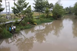 An in-field irrigation canal supplying water for the Cau Tre rice fields in Tieu Can commune is quipped with a water environment monitoring system managed via smartphones. (Photo: VNA)