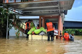 Floods in Bac Ninh province (Photo: VNA)