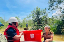 Delivering relief aid to a local in Ha Tinh province (Photo: VNA)